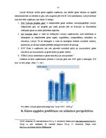 Referāts 'Gāzes apgādes pakalpojumu nozares attīstība Latvijā 21.gadsimtā', 10.