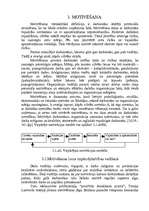 Referāts 'Motivācijas teorija', 1.
