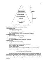 Referāts 'Motivācijas teorija', 5.