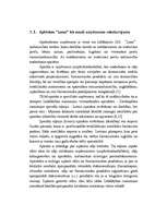 Referāts 'Darba likumdošana tirdzniecības uzņēmumā', 14.