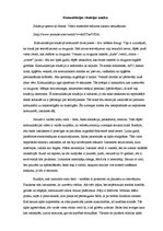 Eseja 'Komunikācijas situācijas analīze', 1.