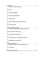 Prakses atskaite 'Prakses atskaite grāmatvedībā', 4.