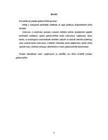 Prakses atskaite 'Prakses atskaite grāmatvedībā', 6.