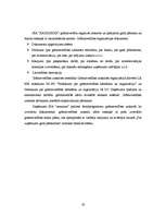 Prakses atskaite 'Prakses atskaite grāmatvedībā', 19.