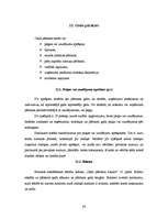 Prakses atskaite 'Prakses atskaite grāmatvedībā', 24.