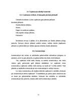 Prakses atskaite 'Prakses atskaite grāmatvedībā', 31.