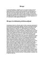 Konspekts 'Divupe', 1.