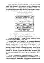 Diplomdarbs 'Vērtētāja darba pamatprincipi nekustamo īpašumu tirgū', 62.