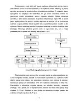 Referāts 'Lojalitātes mārketings uzņēmumā "SF"', 8.