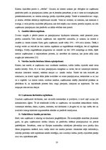 Referāts 'Lojalitātes mārketings uzņēmumā "SF"', 20.