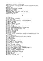 Konspekts 'Vēstures terminu vārdnīca angļu valodā', 2.