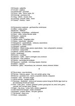 Konspekts 'Vēstures terminu vārdnīca angļu valodā', 4.