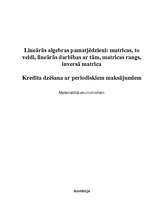 Referāts 'Lineārās algebras pamatjēdzieni un kredītu dzēšana ar periodiskiem maksājumiem', 1.