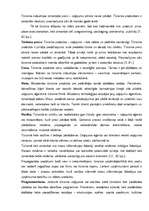 Diplomdarbs 'Latvija kā mērķtirgus Grieķijas salu un kūrortu tūrisma piedāvājumam', 13.