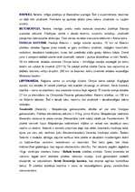 Diplomdarbs 'Latvija kā mērķtirgus Grieķijas salu un kūrortu tūrisma piedāvājumam', 35.