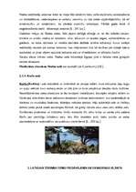 Diplomdarbs 'Latvija kā mērķtirgus Grieķijas salu un kūrortu tūrisma piedāvājumam', 39.