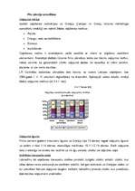 Diplomdarbs 'Latvija kā mērķtirgus Grieķijas salu un kūrortu tūrisma piedāvājumam', 61.
