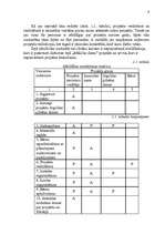 Referāts 'Mākslas dienu projekts', 9.