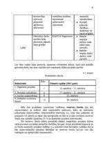 Referāts 'Mākslas dienu projekts', 16.