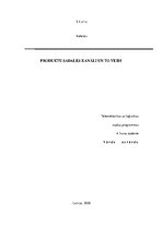 Referāts 'Produktu sadales kanāli un to veidi', 1.