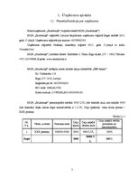 Biznesa plāns 'Mikrouzņēmums "Saulstariņš"', 5.