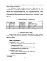 Biznesa plāns 'Mikrouzņēmums "Saulstariņš"', 7.