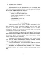 Biznesa plāns 'Mikrouzņēmums "Saulstariņš"', 12.