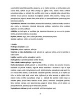 Biznesa plāns 'Mikrouzņēmums "Saulstariņš"', 16.