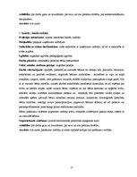 Biznesa plāns 'Mikrouzņēmums "Saulstariņš"', 17.