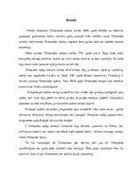 Referāts 'Turīnas olimpiskās spēles', 2.