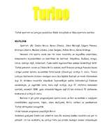 Referāts 'Turīnas olimpiskās spēles', 6.