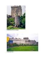 Referāts 'Īrija', 4.