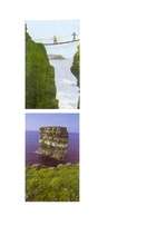 Referāts 'Īrija', 5.