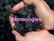 Prezentācija 'Akmeņogles', 1.