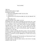 Konspekts 'Nodarbības apraksts. Pirmsskolas vecuma bērniem (2-3gadi)', 1.