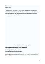 Referāts 'Gaisa kondicionēšanas iekārtas un to lietošana viesnīcās', 7.