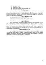 Konspekts 'Somatoskopija', 3.