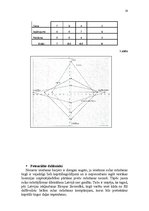 Referāts 'Uzņēmuma "Cido" mārketinga vides un stratēģijas analīze un darbības plānošana', 16.