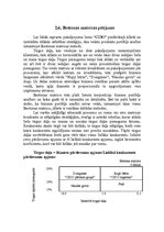 Referāts 'Uzņēmuma "Cido" mārketinga vides un stratēģijas analīze un darbības plānošana', 21.