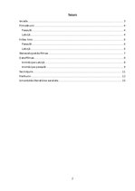 Referāts 'Īsa filmu un video vēsture', 2.