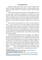 Referāts 'Īsa filmu un video vēsture', 7.