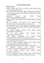 Referāts 'Īsa filmu un video vēsture', 15.