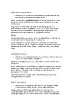 Konspekts 'Ekonomiskās sistēmas', 2.