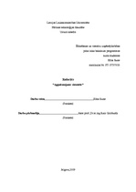 Konspekts 'Apgaismojums viesnīcā', 1.