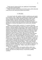 Referāts 'Mārketinga plāns a/s "Laima" šokolades tāfelītem', 19.