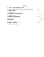 Referāts 'Imigrācijas likumdošana', 2.