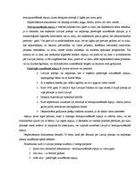 Referāts 'Imigrācijas likumdošana', 8.