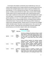 Referāts 'Imigrācijas likumdošana', 15.