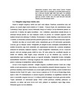 Referāts 'Imigrācijas likumdošana', 16.