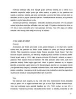 Referāts 'Imigrācijas likumdošana', 17.